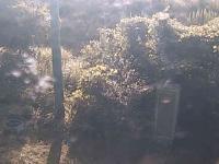 2025-08-27 07:43