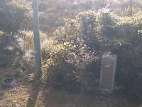 2025-08-29 08:01