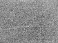 2025-08-11 20:59