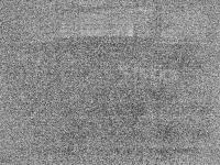 2025-08-12 03:53