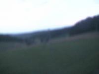 2025-07-12 04:19