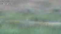 2025-06-11 07:10