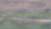 2025-06-11 13:26