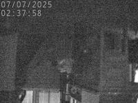 2025-07-07 02:37