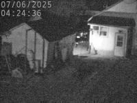 2025-07-06 04:23