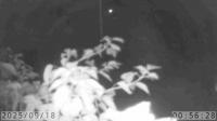 2025-09-18 00:54