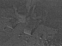 2025-06-15 03:13