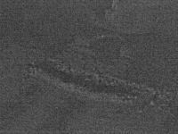 2025-07-02 21:18