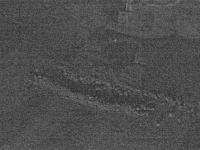2025-07-03 03:34
