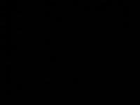 2025-08-13 16:46