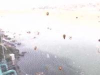 2025-07-13 15:54