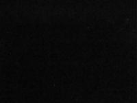 2025-06-16 02:52