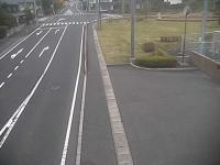 2025-06-13 04:56