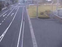 2025-07-01 05:17