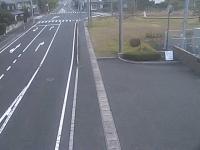 2025-08-17 07:35