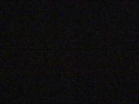 2025-08-29 04:03