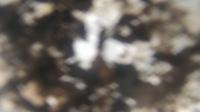 2025-04-29 16:04