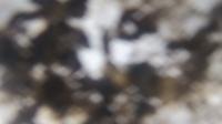 2025-06-14 14:58