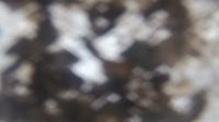 2025-07-01 07:59