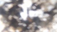 2025-08-13 16:28