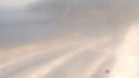 2025-10-14 11:29