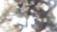 2026-04-21 07:19