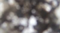 2026-04-26 13:59