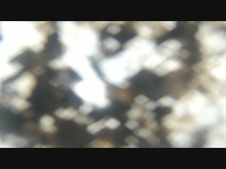 Actual image