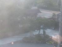 2025-09-01 06:37