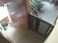 2025-04-27 06:53