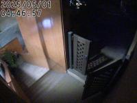 2025-05-01 04:52