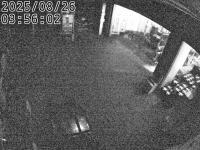 2025-08-26 03:53
