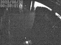 2025-08-29 00:53