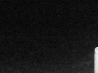 2025-04-30 03:03