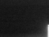2025-06-16 03:00