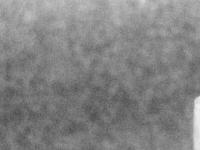 2026-04-21 19:14