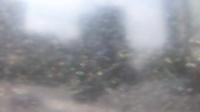 2025-09-01 09:09