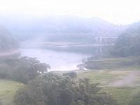 2025-07-01 05:50