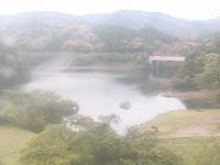 2026-05-08 06:50