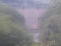 2025-07-08 08:39