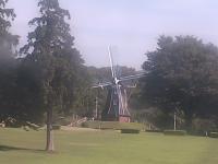2025-07-28 08:17