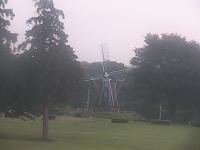 2025-07-29 04:59