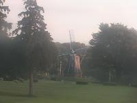 2025-07-31 05:17