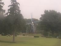 2025-08-01 08:53