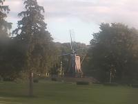 2025-08-02 05:35