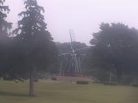 2025-08-04 05:52
