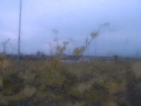 2025-06-08 06:29