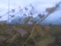 2025-06-16 14:59
