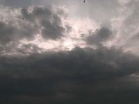 2025-06-14 06:18