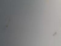 2025-07-09 16:55